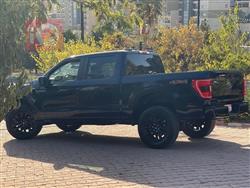 فۆرد F-150